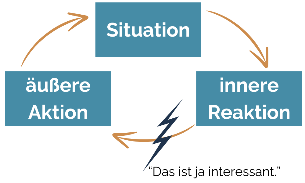 Zwischen Reiz und Reaktion: Part 3/ Die Lösung.
